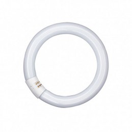 FLUORESCENTE CIRCULAR T9...