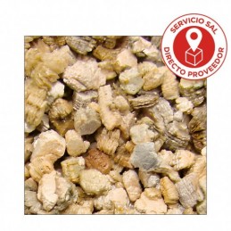 VERMICULITA ABSOAL V12 125 LTS