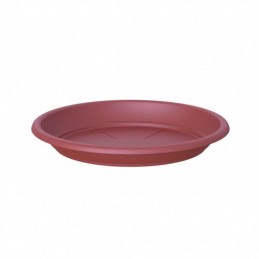 PLATO UNIVERSAL COLOR...