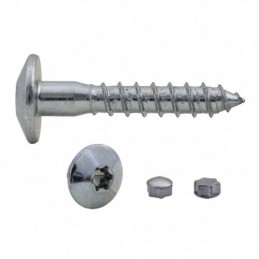 TOR. INVIOLABLE 7x60 -100UN