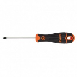DESTORNILL.POZIDRIV N1X100