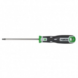 DESTORN.TORX T-15X100 RATIO