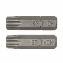 PUNTAS 25MM.TORX SEG.T25...