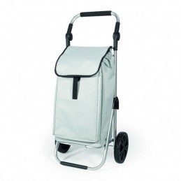 CARRO COMPRA AL-003 2...